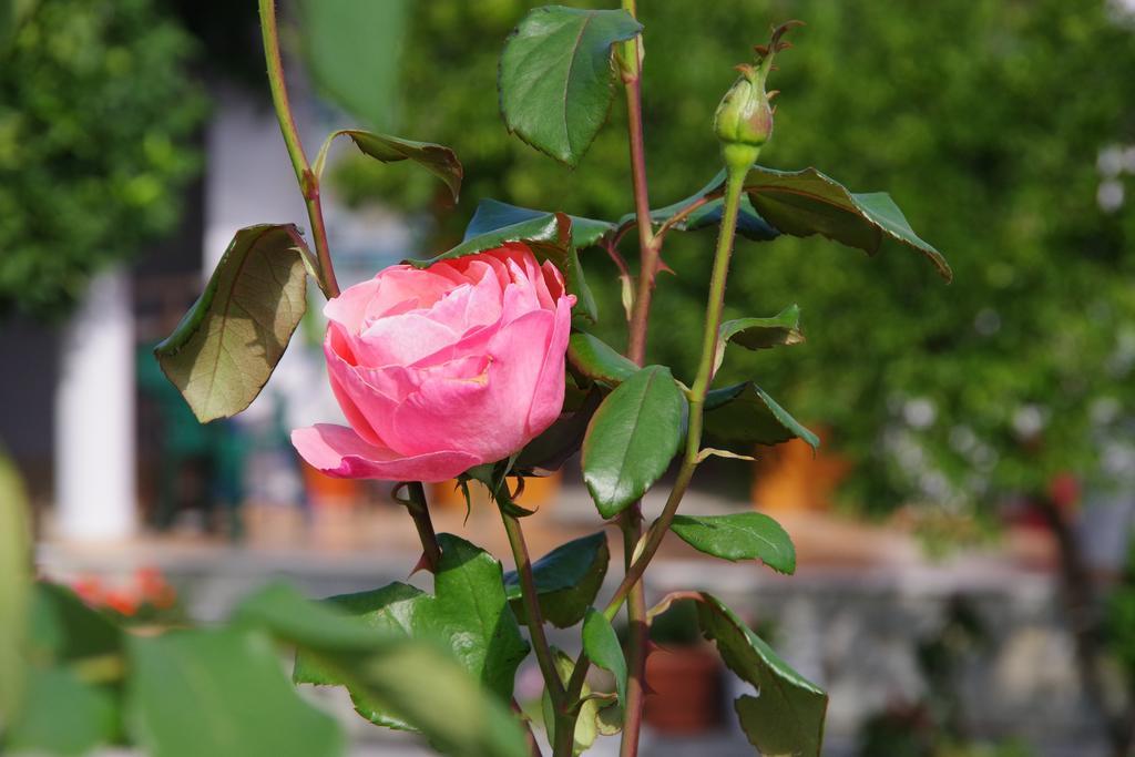 Athina Hotel Koinira Luaran gambar