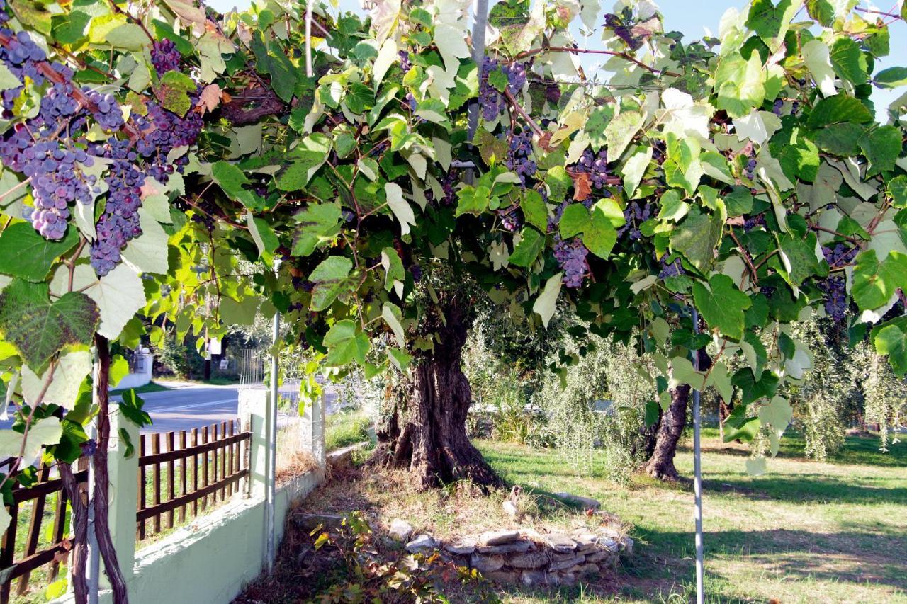 Athina Hotel Koinira Luaran gambar